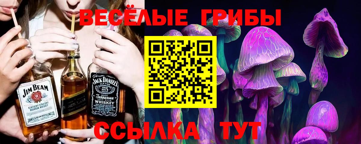Кулебаки  Псилоцибиновые грибы GOLDEN TEACHER  Вход с VPN  Галлюциногенные грибы Psilocybe 