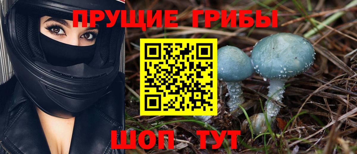 Галлюциногенные грибы Magic Shrooms Кулебаки